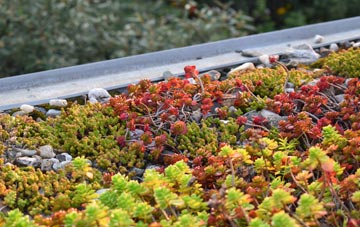 the cost of Binham green roof installation