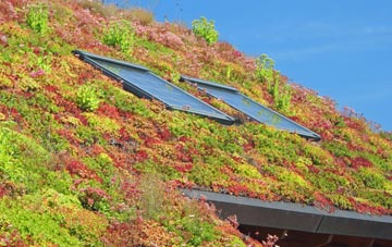 Binham living roof systems