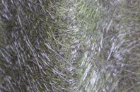 Binham fibreglass roof work